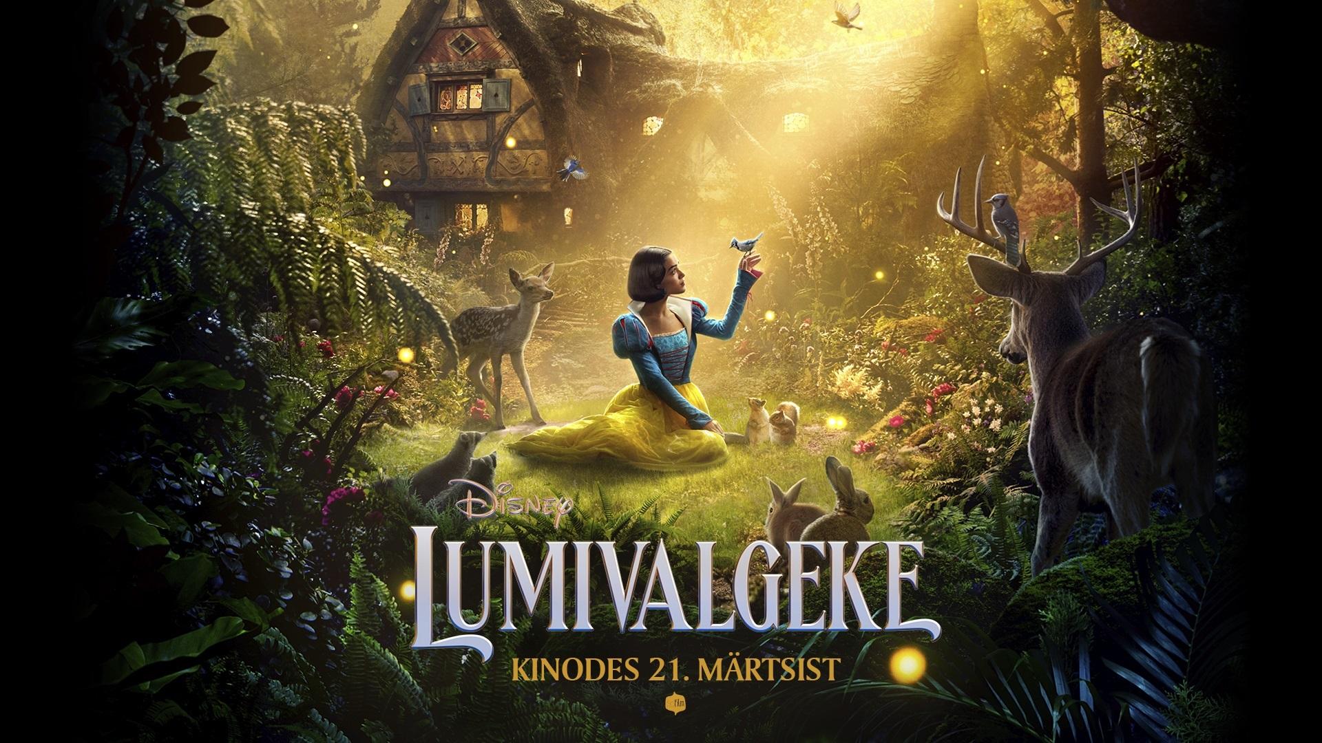 Lumivalgeke banner picture