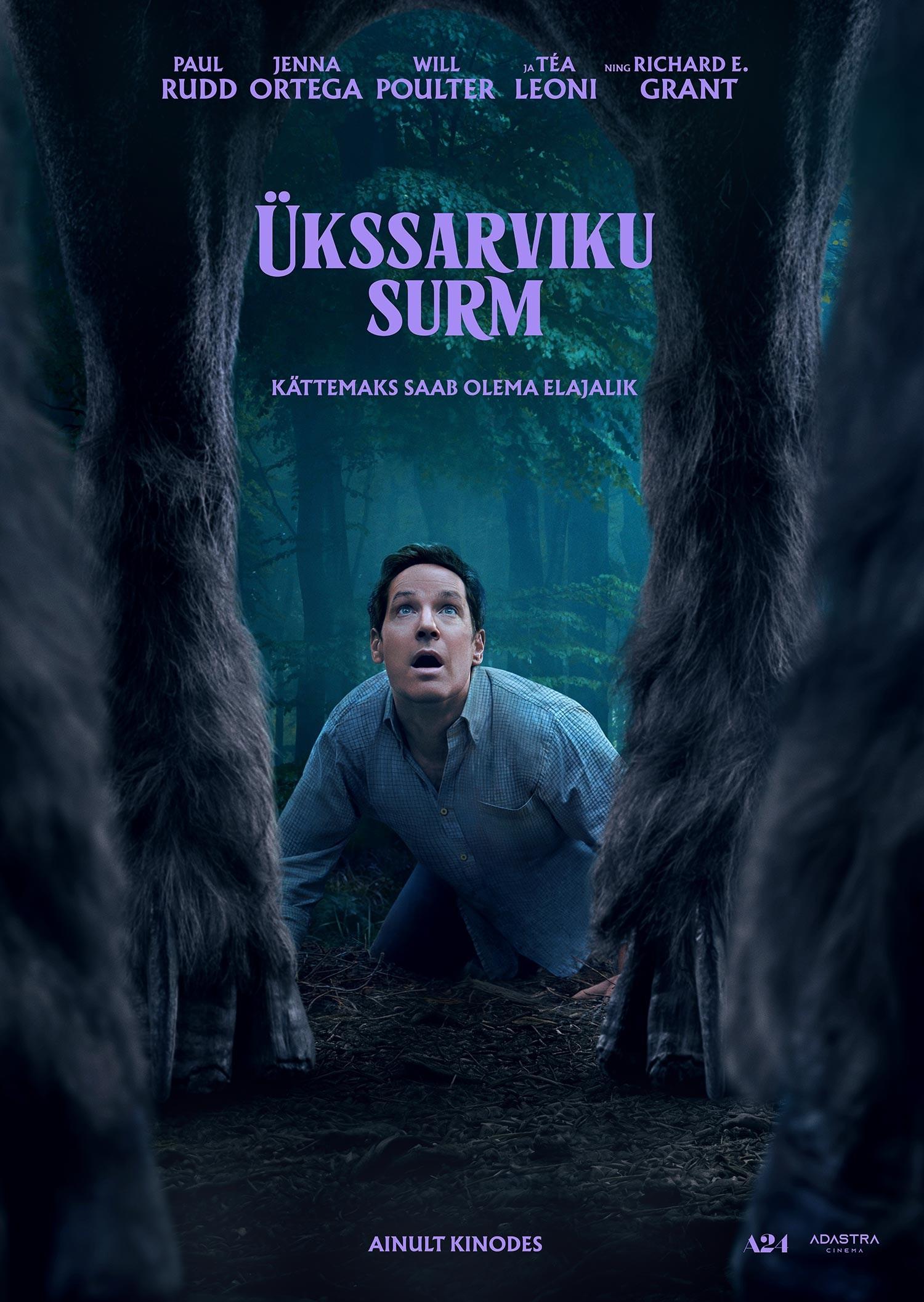 Promo material picture