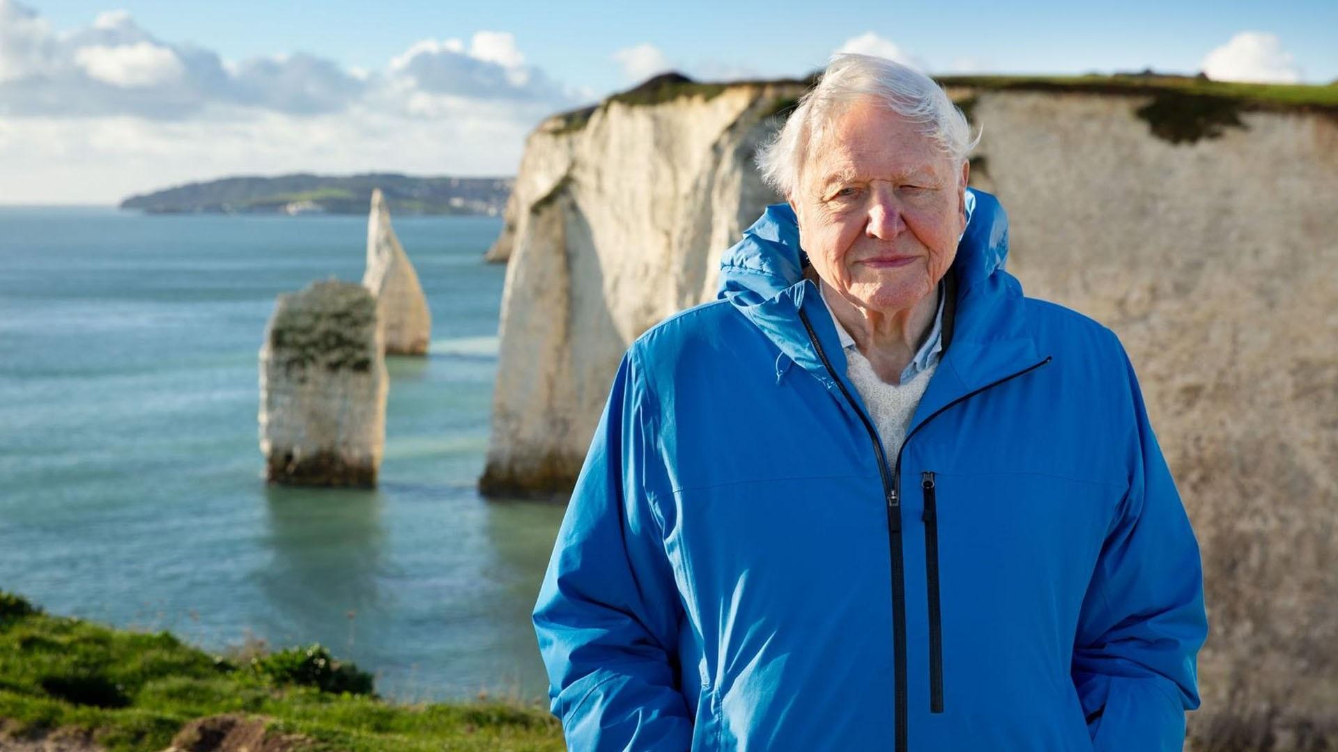Ocean with David Attenborough banner picture
