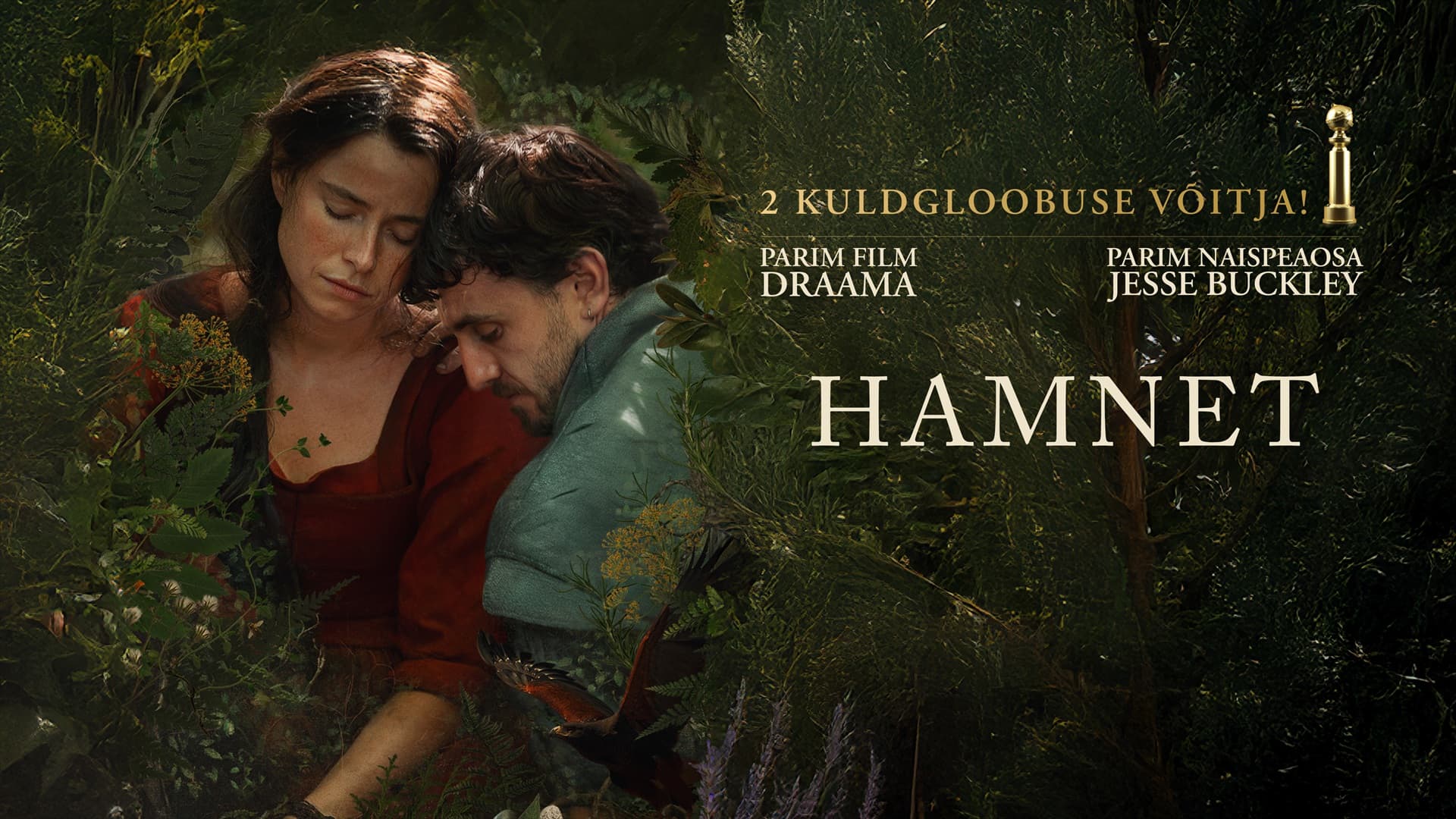 Hamnet banner picture