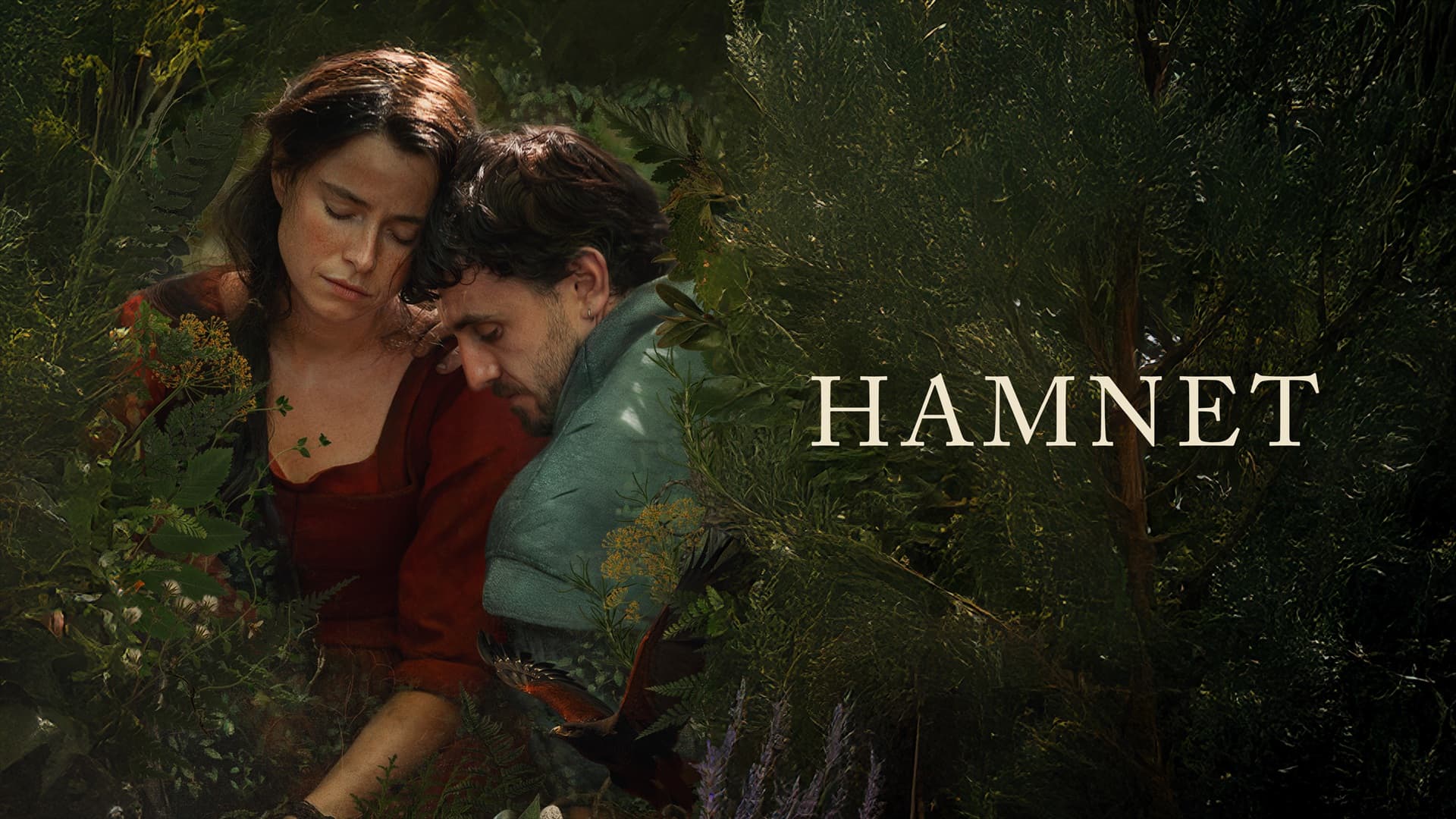 Хэмнет banner picture