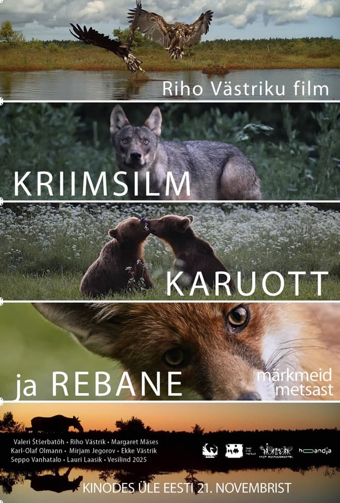 Promo material picture